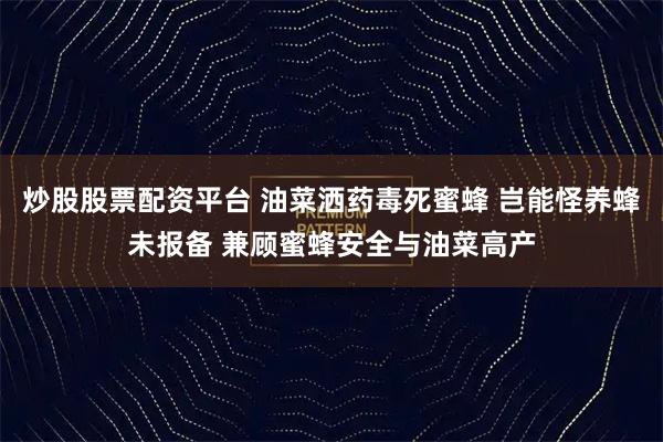 炒股股票配资平台 油菜洒药毒死蜜蜂 岂能怪养蜂未报备 兼顾蜜蜂安全与油菜高产