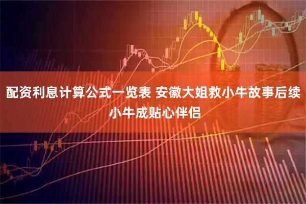 配资利息计算公式一览表 安徽大姐救小牛故事后续 小牛成贴心伴侣