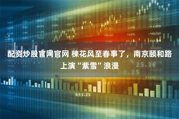 配资炒股官网官网 楝花风至春事了，南京颐和路上演“紫雪”浪漫