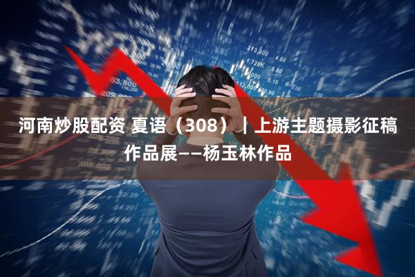 河南炒股配资 夏语（308）｜上游主题摄影征稿作品展——杨玉林作品