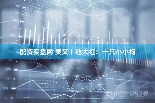 配资实盘网 美文丨池大红：一只小小狗